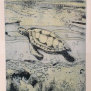 Ningaloo Series Turtle